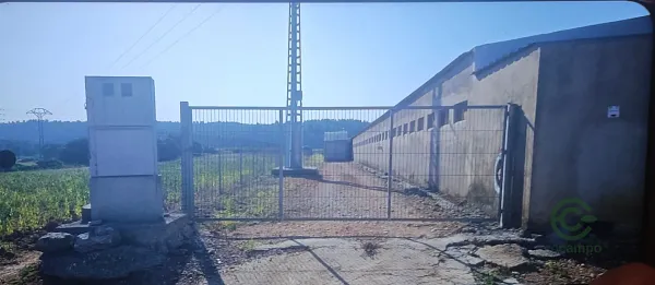 Finca ganadera de 0,5 ha en venta en Castellón