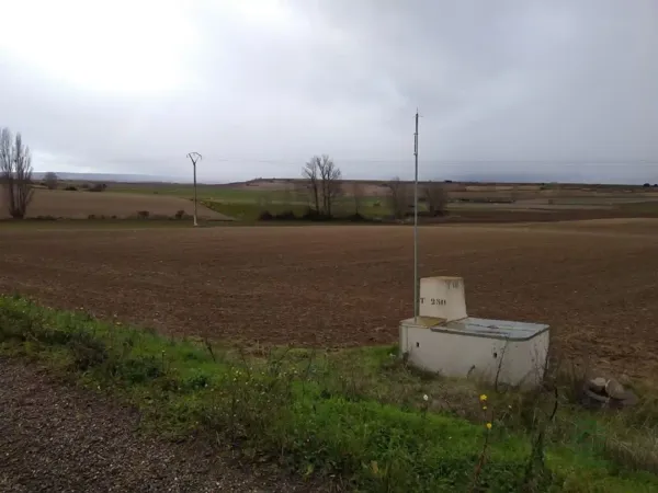 Spot image