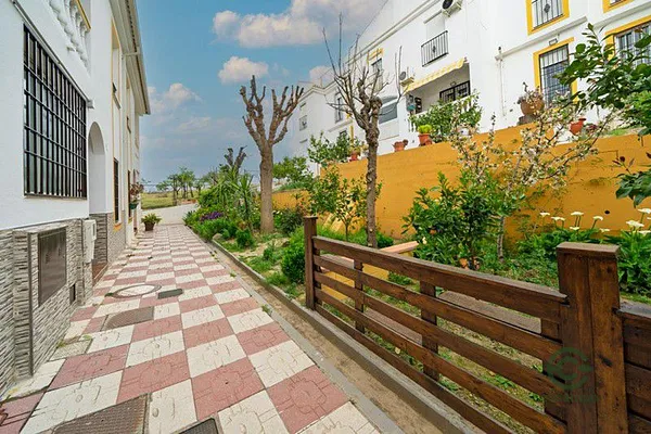 Spot image