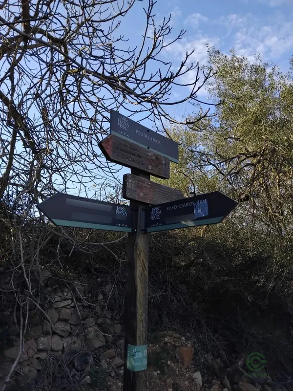Spot image