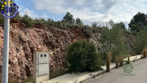 Spot image