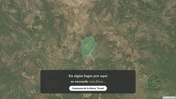 Spot image