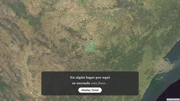 Spot image