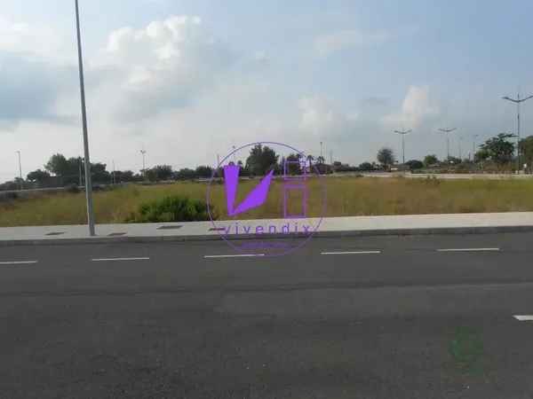 Spot image
