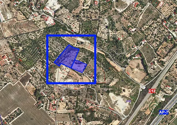 Spot image