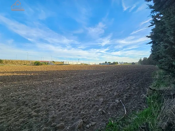 Spot image