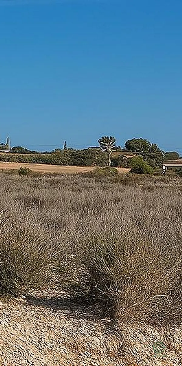 Terreno urbano de 0,5 ha en venta en Mutxamel, Alicante