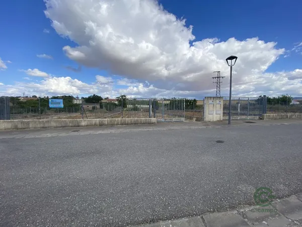 Spot image
