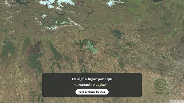 Spot image