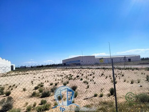 Spot image