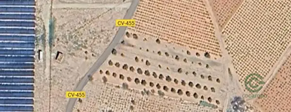 Spot image