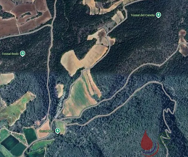 Spot image