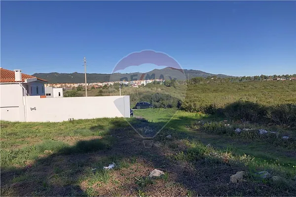 Spot image