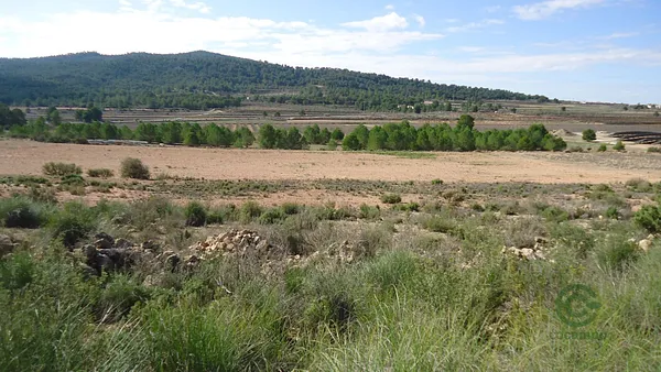 Spot image