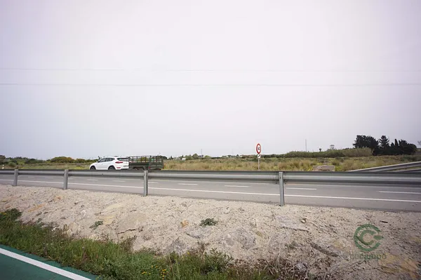 Spot image