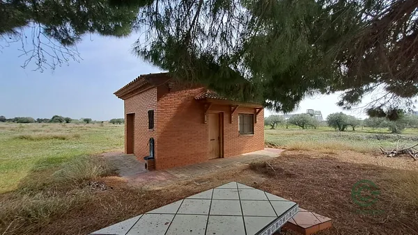 Spot image