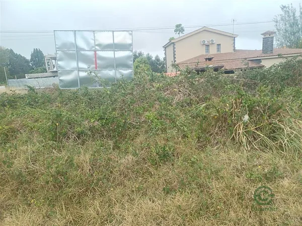 Finca rústica de 0,096 ha en venta en Tacoronte, Tenerife
