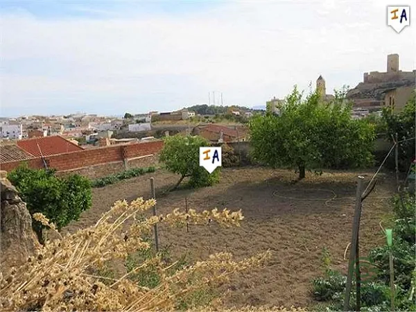 Spot image