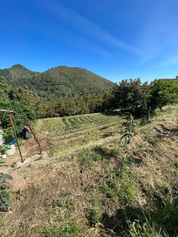 Finca agrícola de 0,3 ha en venta en Ojen, Malaga