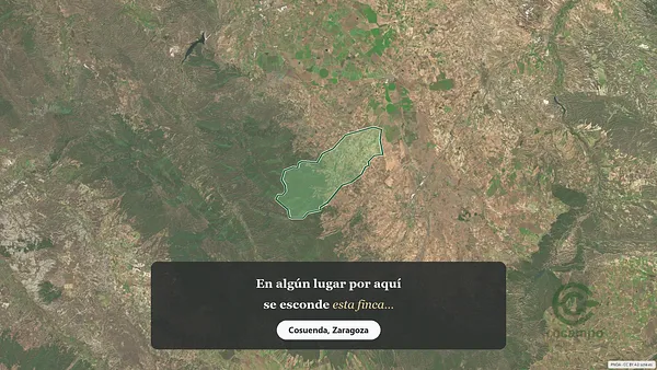 Spot image
