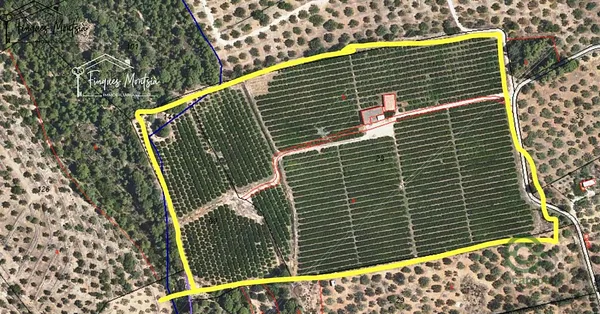 Finca rústica de 6,3354 ha en venta en Camarles, Tarragona