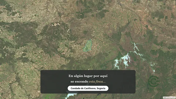 Spot image
