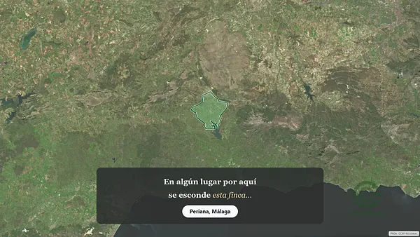 Spot image