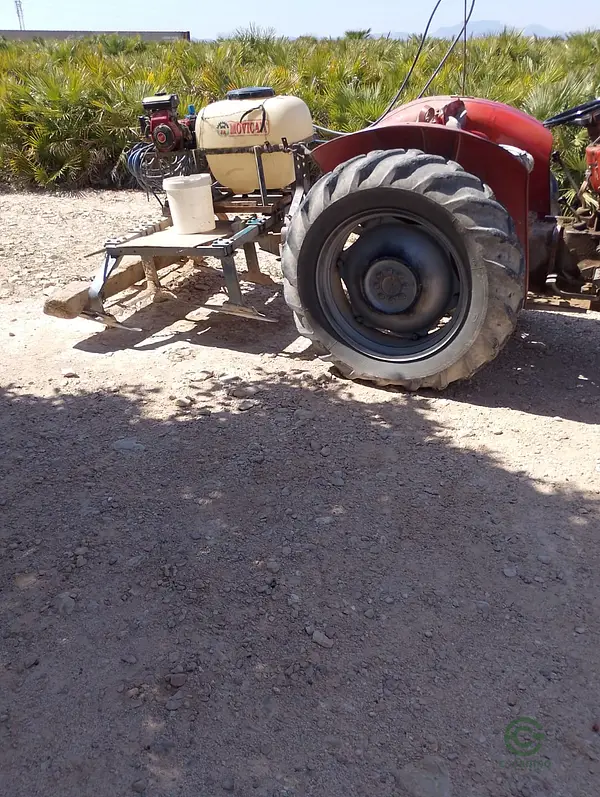 Finca agrícola de 2,5 ha en venta en Alicante