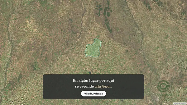 Spot image
