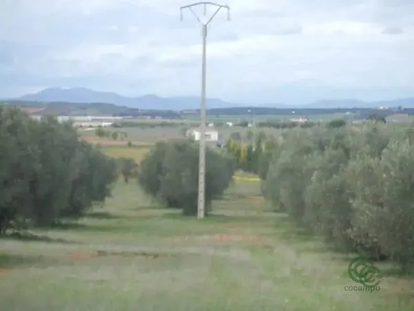 Spot image
