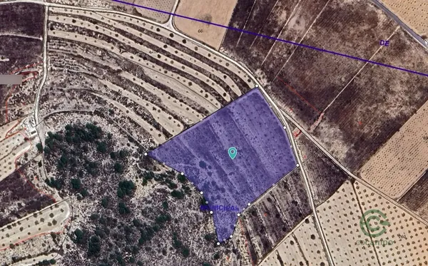 Spot image