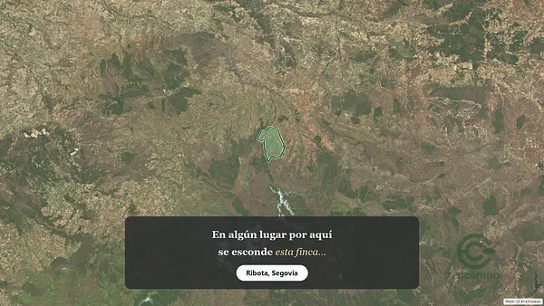 Spot image