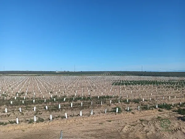 Finca agrícola de 8 ha en venta en Sevilla