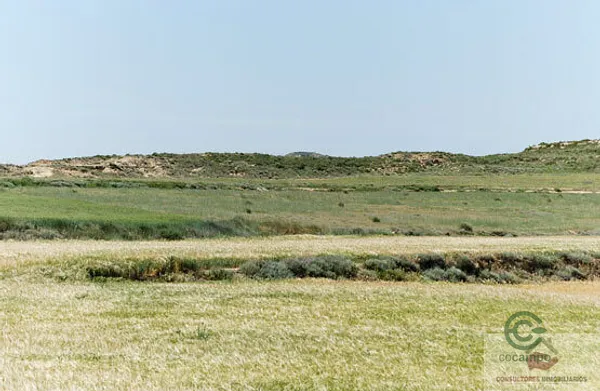 Spot image