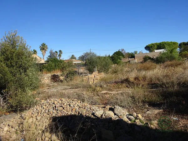 Spot image