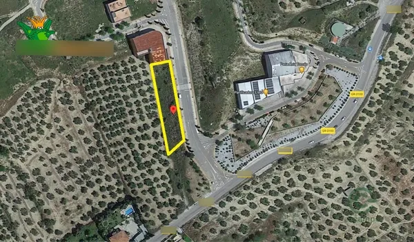 Spot image