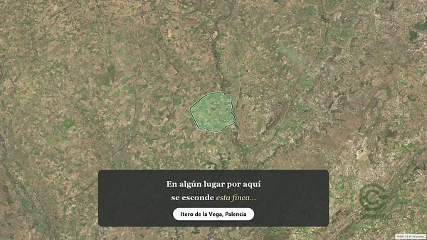 Spot image