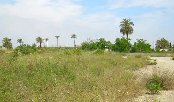 Spot image
