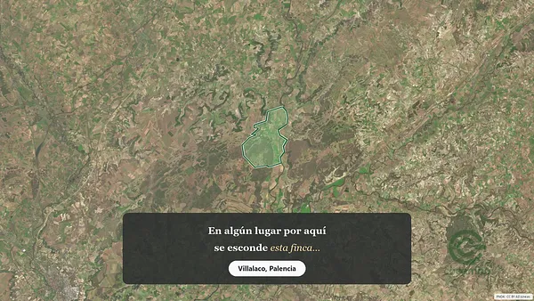 Spot image