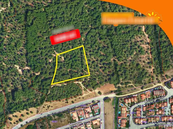 Spot image