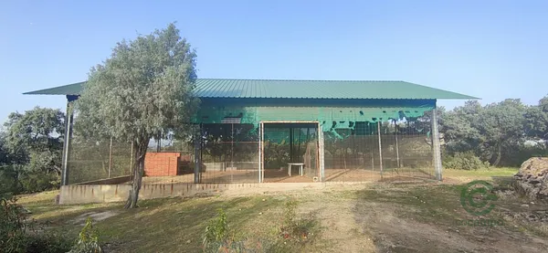 Spot image