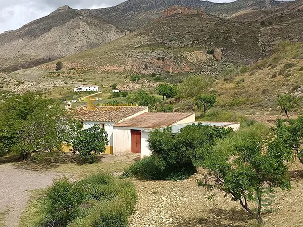Spot image