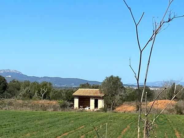 Spot image