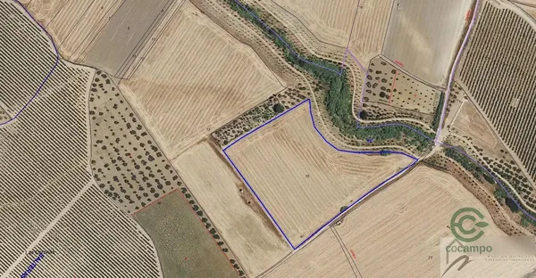 Finca rústica de 2,64 ha en venta en Salteras, Sevilla