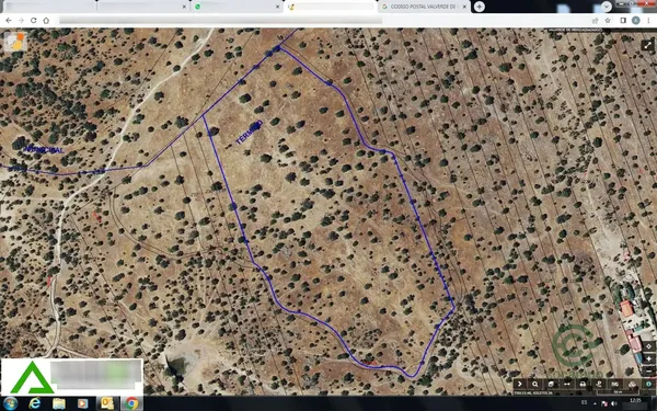 Spot image