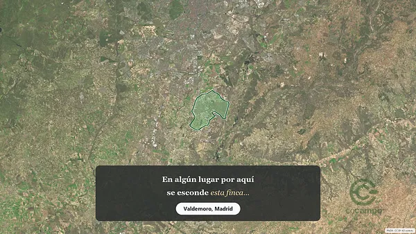 Spot image