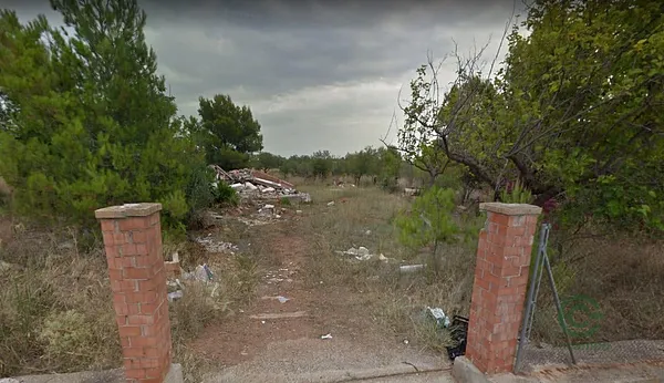 Spot image
