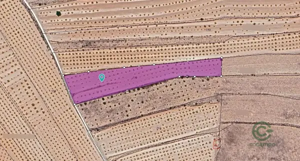 Spot image