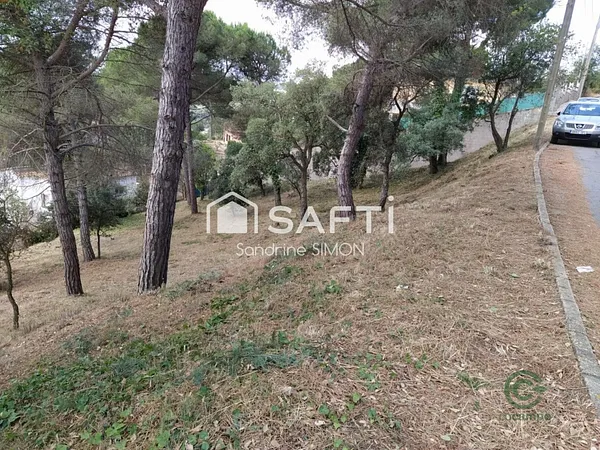 Spot image