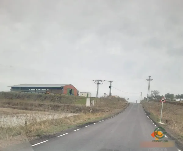Spot image